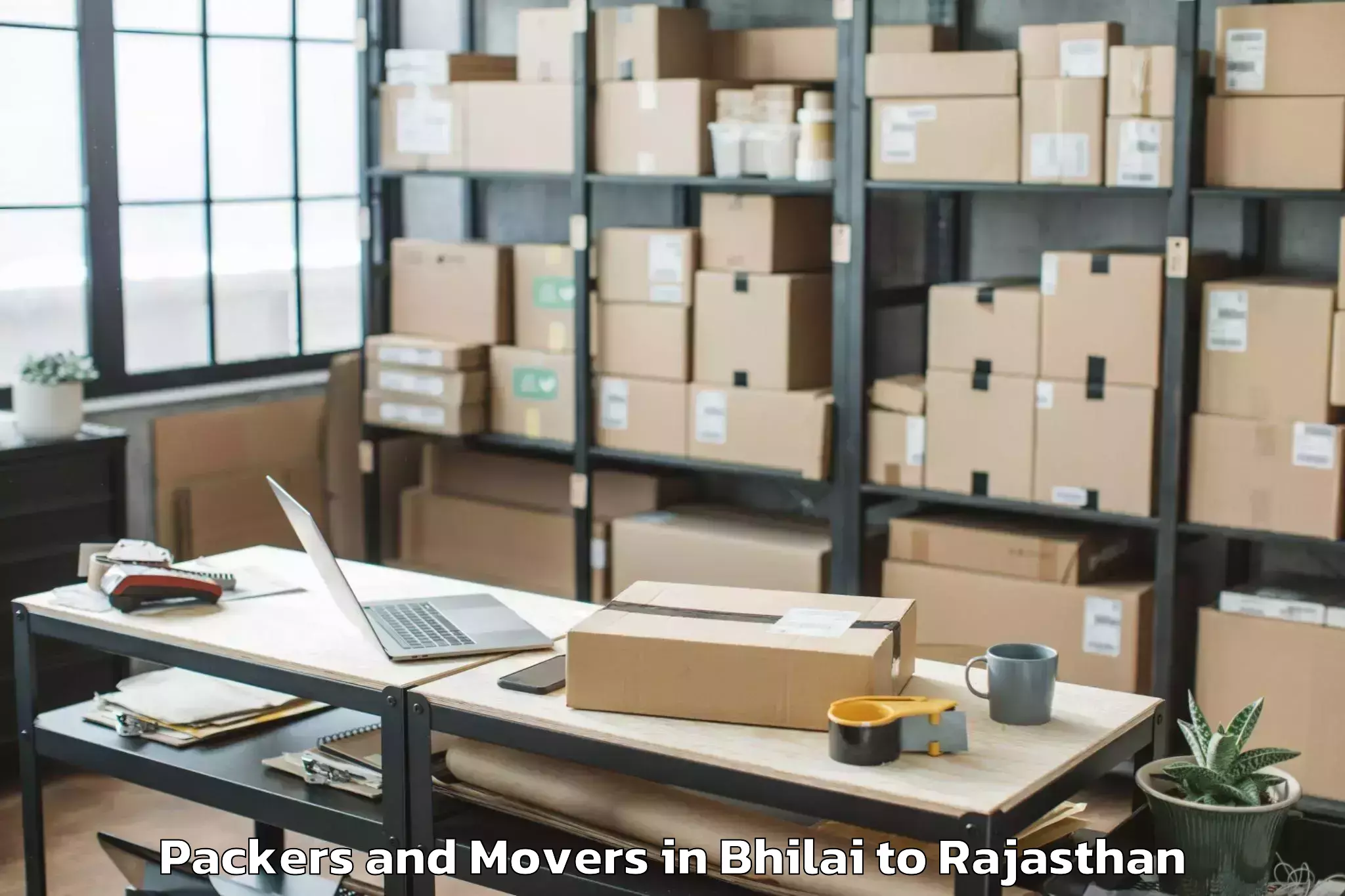 Affordable Bhilai to Hindoli Packers And Movers